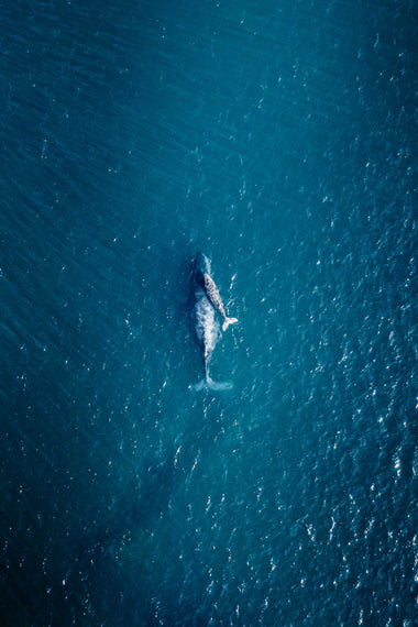 Sueños Azules - Póster