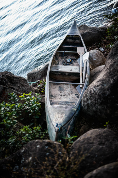 Viaje Olvidado - Póster