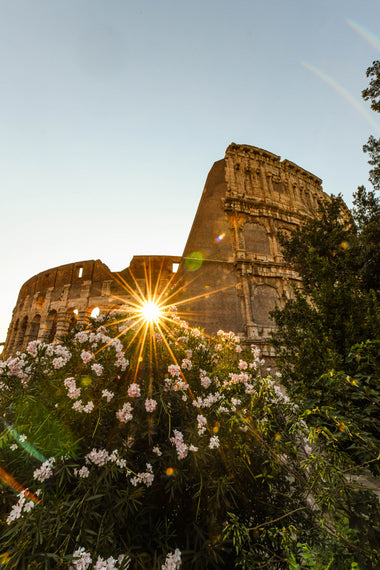 Coliseo