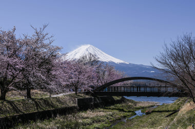 Paseo Matutino en Japón