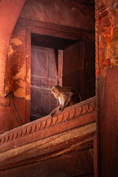 Armonía de Gran Altura