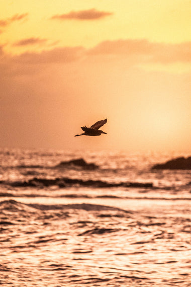 Danza del Cielo Marítimo