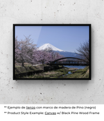 Paseo Matutino en Japón