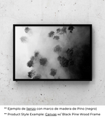 Bosque Brumoso - Póster
