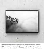 Ecos Silenciosos