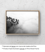 Ecos Silenciosos