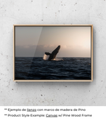 Libertad