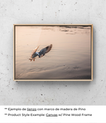 Zambullida en el Agua