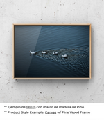 Lago de los Cisnes