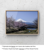 Paseo Matutino en Japón