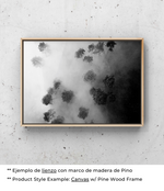 Bosque Brumoso - Póster