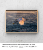 Elegancia