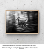 Sueños Vívidos