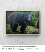 Mírate