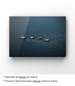 Lago de los Cisnes