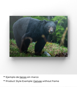 Mírate