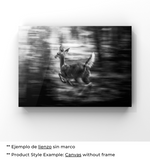 Sueños Vívidos
