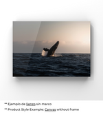 Libertad