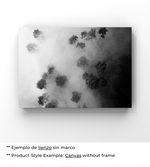 Bosque Brumoso - Póster