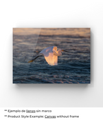 Elegancia