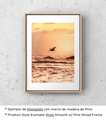 Danza del Cielo Marítimo