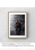 Serenidad del Oso