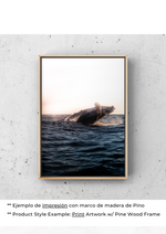 Vals del Canto de las Ballenas