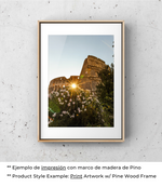 Coliseo
