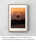 Horizonte Dorado