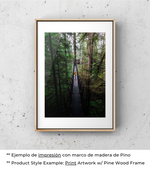 Among the Pines