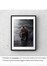 Serenidad del Oso