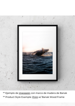 Vals del Canto de las Ballenas