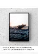 Vals del Canto de las Ballenas
