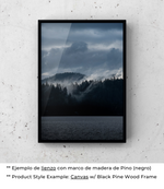 Silent Forest