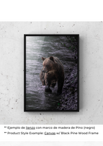 Serenidad del Oso