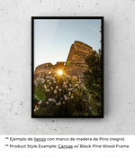 Coliseo
