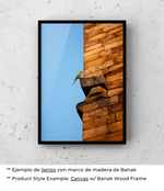 Serenidad Alada