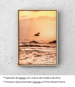Danza del Cielo Marítimo
