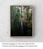 Among the Pines