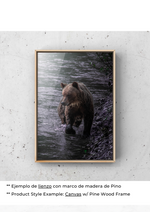 Serenidad del Oso