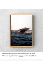 Vals del Canto de las Ballenas