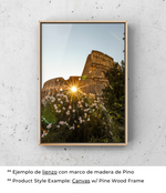 Coliseo