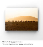 Dunas de Sueños