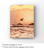 Danza del Cielo Marítimo