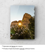 Coliseo