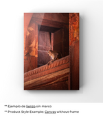 Armonía de Gran Altura