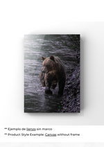 Serenidad del Oso