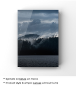 Silent Forest