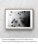 Bosque Brumoso - Póster