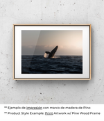 Libertad